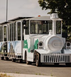 Electric tourist train